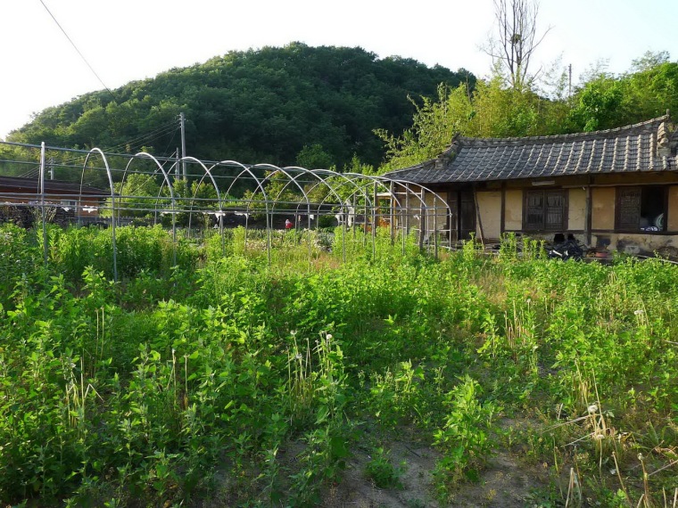 韩式住宅改建为花园资料下载-韩式住宅改建为花园