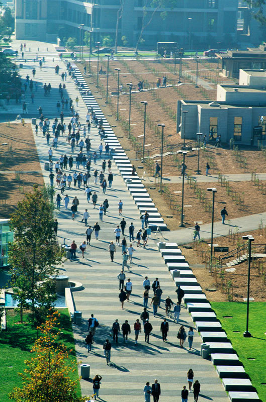加州大学图书馆人行道第7张图片