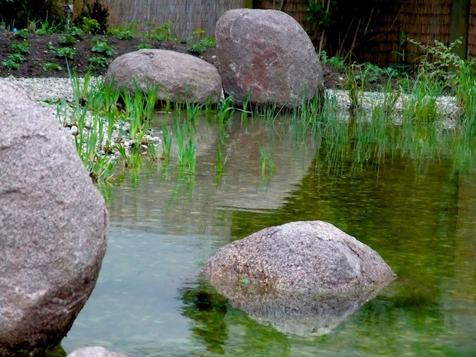 生态池塘之一-滨水案例-筑龙园林景观论坛