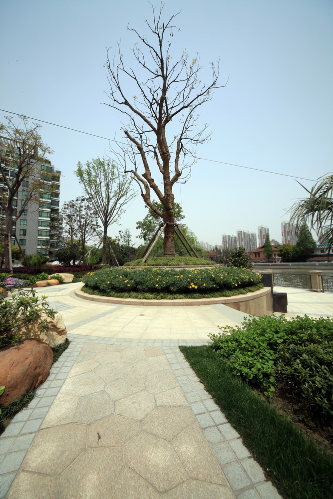 上海大华清水湾三期-华府樟园