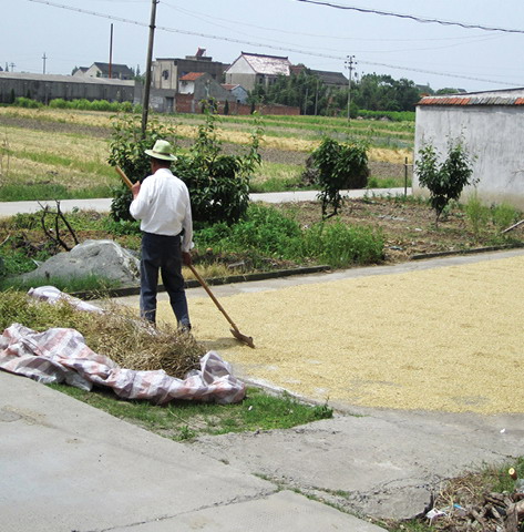 2012年ASLA奖分析与规划奖 都市里的农业小镇_15 2012年ASLA奖分析与规划奖 都市里的农业小镇_15