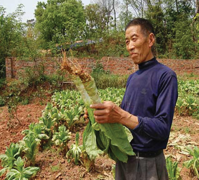 2012年ASLA奖分析与规划奖 都市里的农业小镇_21 2012年ASLA奖分析与规划奖 都市里的农业小镇_21
