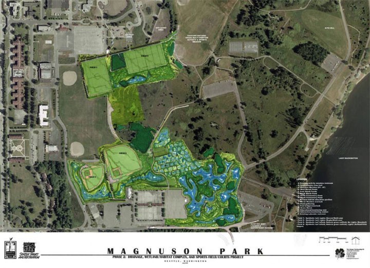 Magnuson公园湿地重建第12张图片