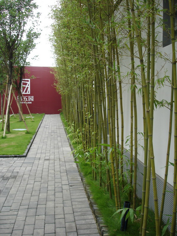 植物花坛-园林小品案例-筑龙园林景观论坛