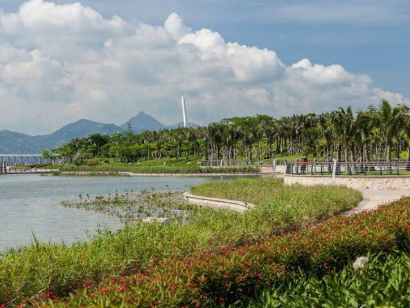 蝶状建筑资料下载-深圳湾公园