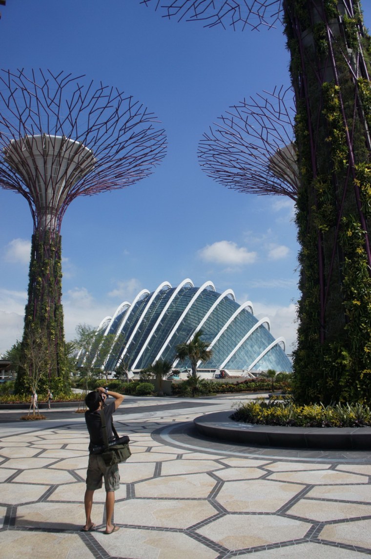 新加坡滨海湾花园冷却温室第10张图片