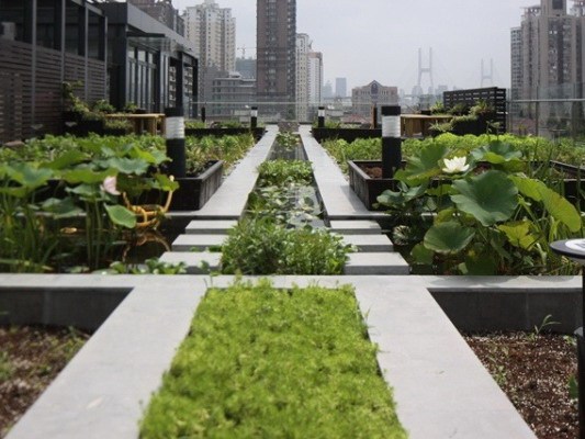 空中花园菜园设计图资料下载-空中菜园