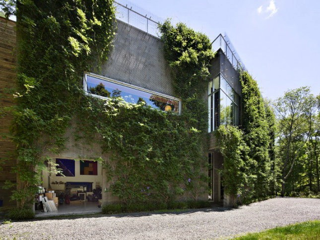 马里博尔艺术画廊设计资料下载-被植物包裹的艺术画廊