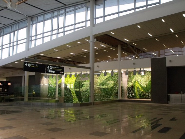 墙体造型模型下载资料下载-埃德蒙顿机场立体植物造型