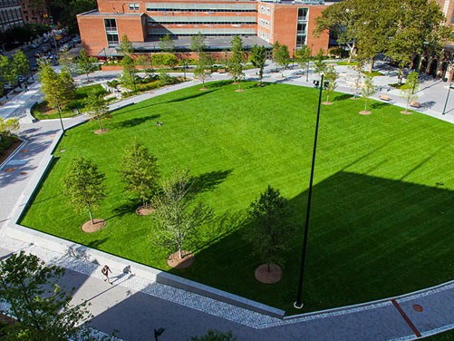 宾夕法尼亚大学景观规划资料下载-美国宾夕法尼亚大学公共绿地