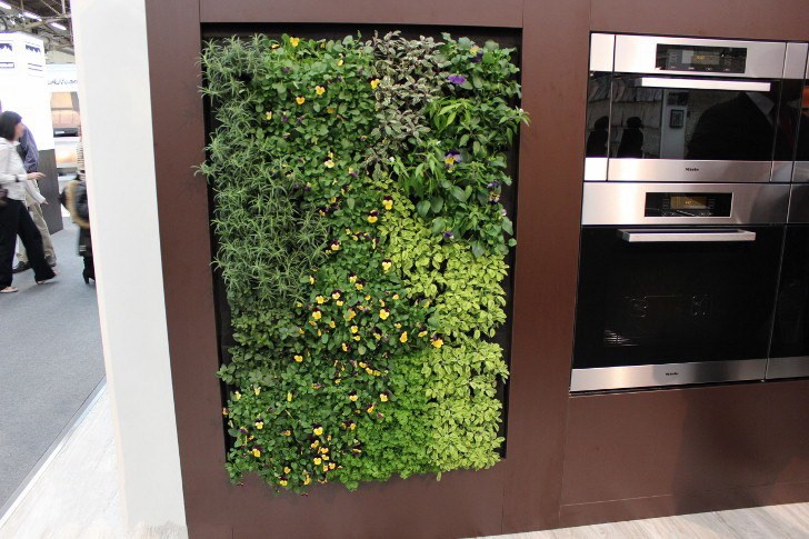 绿墙壁厨房和草本植物花园_7