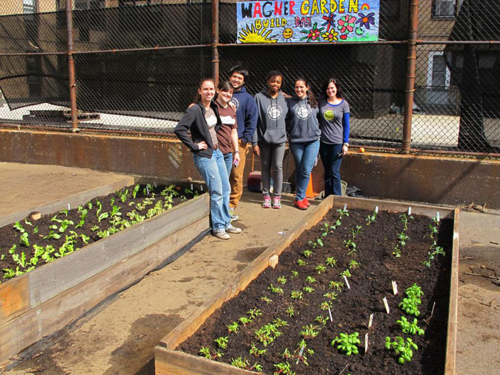 GrowNYC为Wagner中学带来城市农场