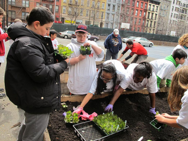 GrowNYC为Wagner中学带来城市农场第7张图片