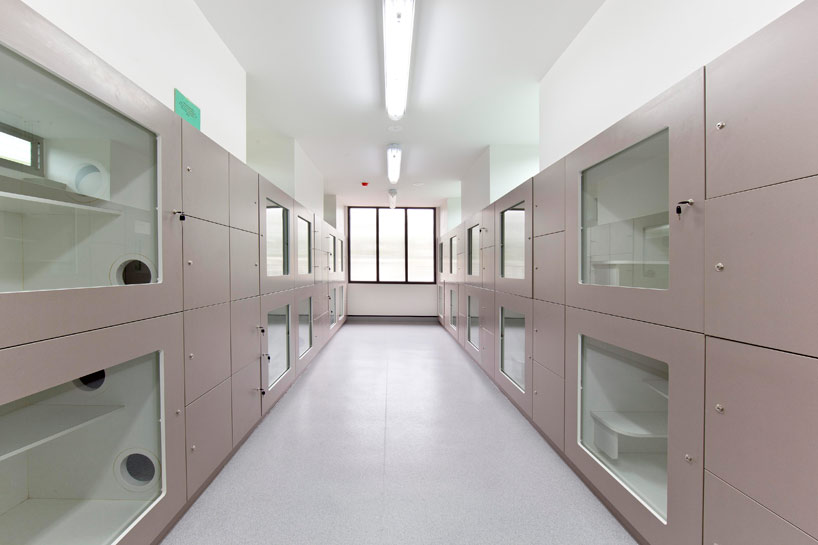 小动物收容所-其它建筑案例-筑龙建筑设计论坛