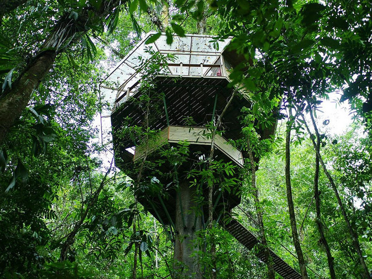 哥斯达黎加树屋资料下载-可持续树屋社区