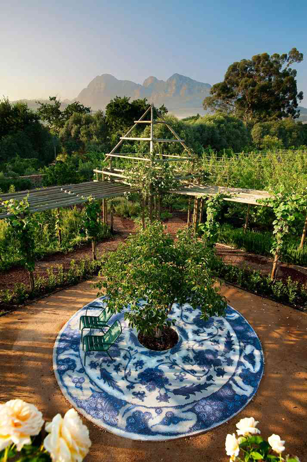 南非农场酒店的奇妙花园第4张图片