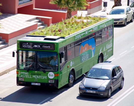 公车上的绿顶