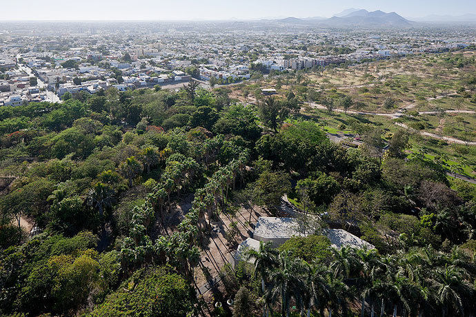 道路绿化常用植物资料下载-墨西哥植物园
