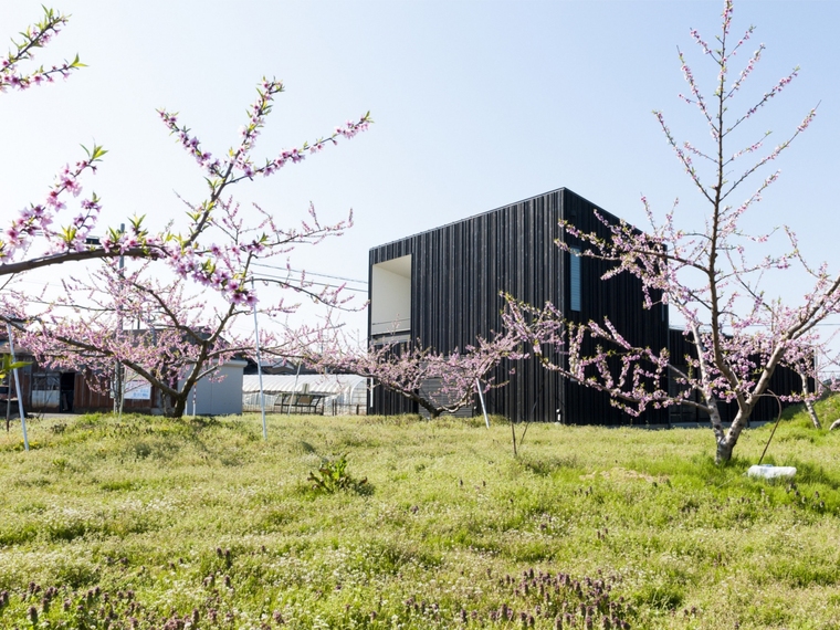 潍坊桃园时光综合建筑资料下载-桃园庭院