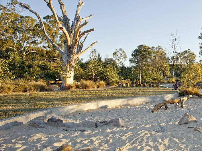 美国西好莱坞公园资料下载-澳大利亚西悉尼公园Lizard Log