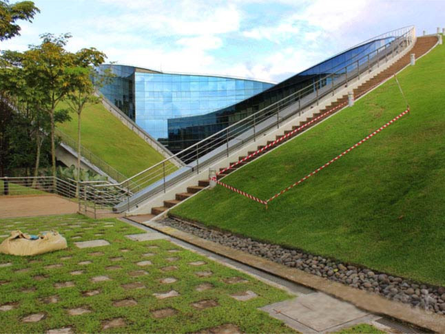 天津南大新校区图书馆资料下载-南洋理工大学学院对的绿顶