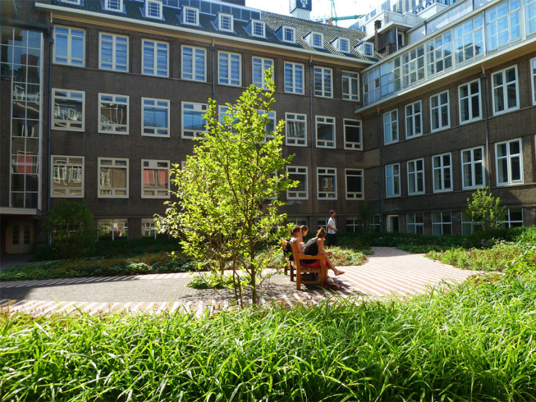 荷兰阿姆斯特丹W酒店资料下载-荷兰阿姆斯特丹大学