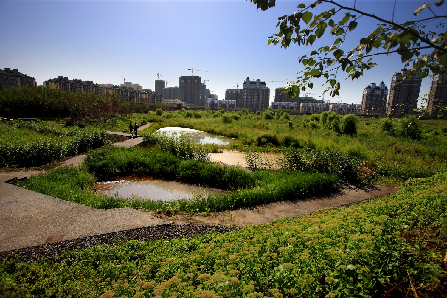 中國哈爾濱群力新區溼地公園