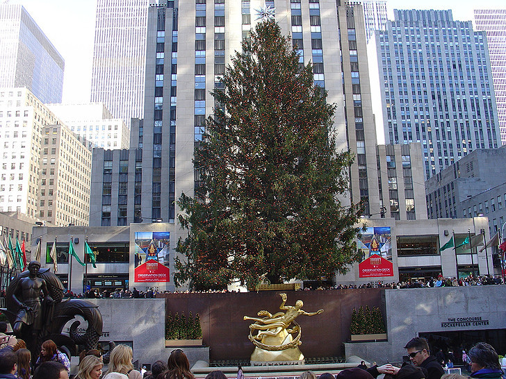 洛克菲勒中心的圣诞树