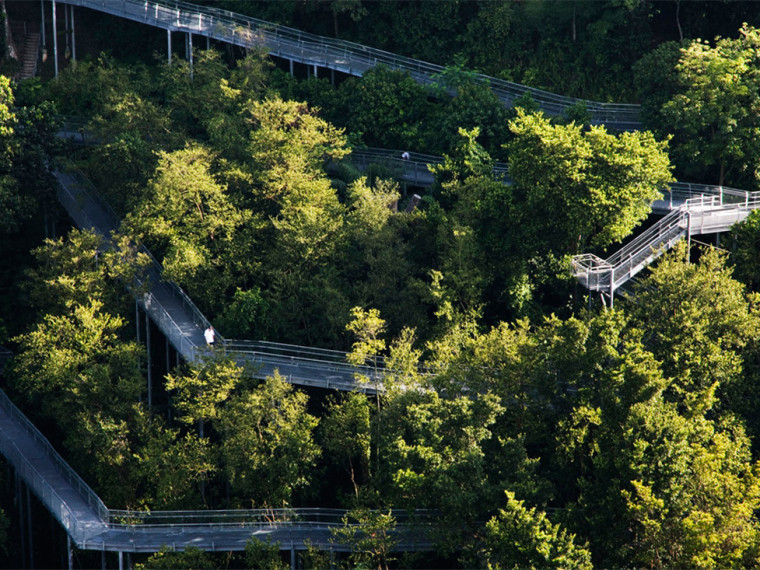 15米小拱桥资料下载-亚历山大拱桥和丛林小径
