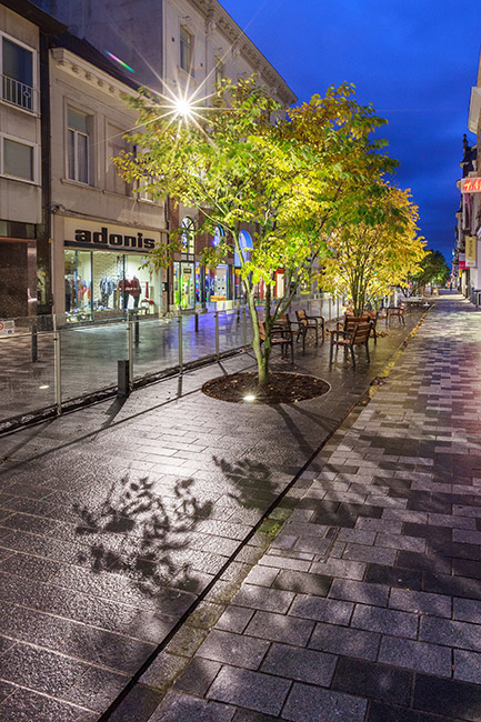 圣尼古拉街道改造景观