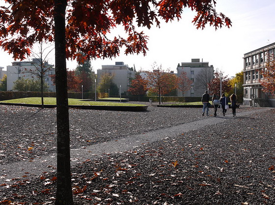 瑞士韦尔高中校园景观外部街道图-瑞士韦尔高中校园景观第3张图片