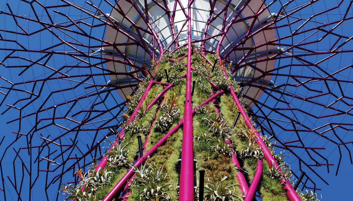 园林景观 花园 > 滨海湾花园景观 there are 18 supertrees at