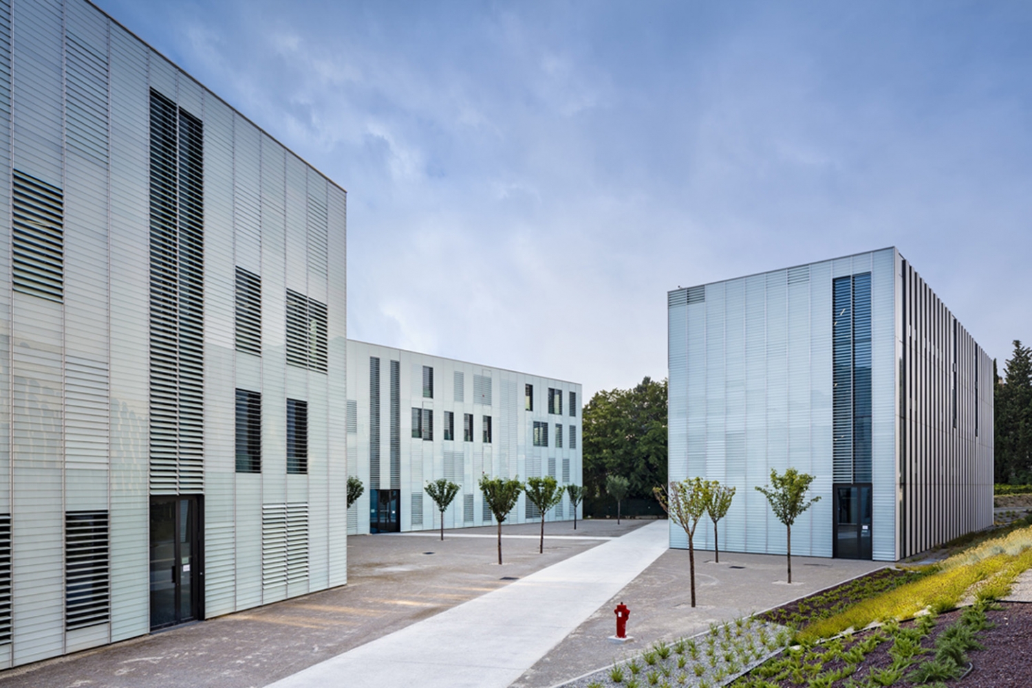 马赛普罗旺斯大学