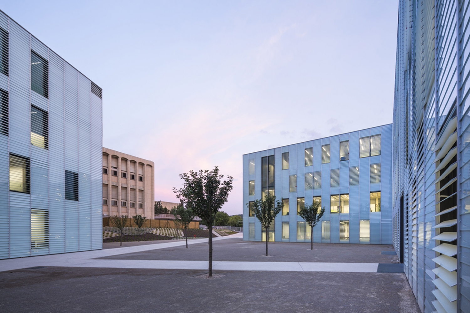 马赛普罗旺斯大学