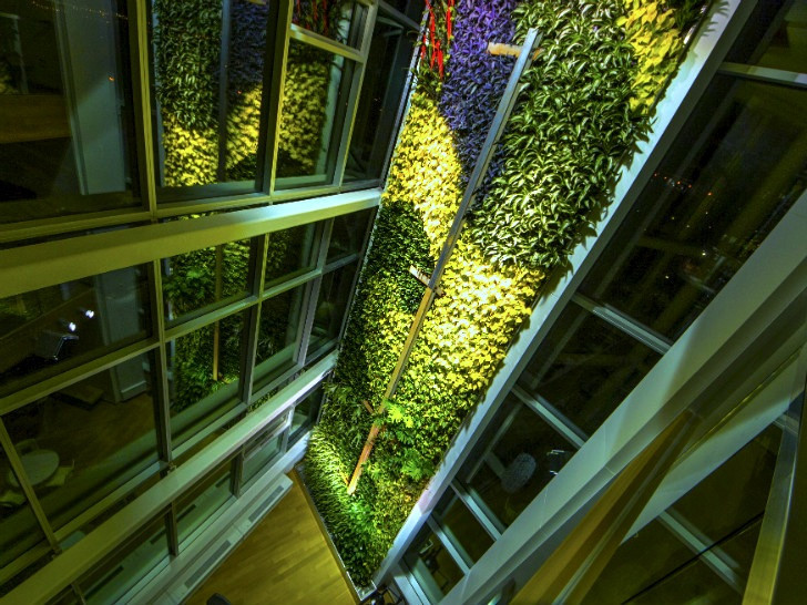 垂直花园案例资料下载-世界上最高的室内垂直花园