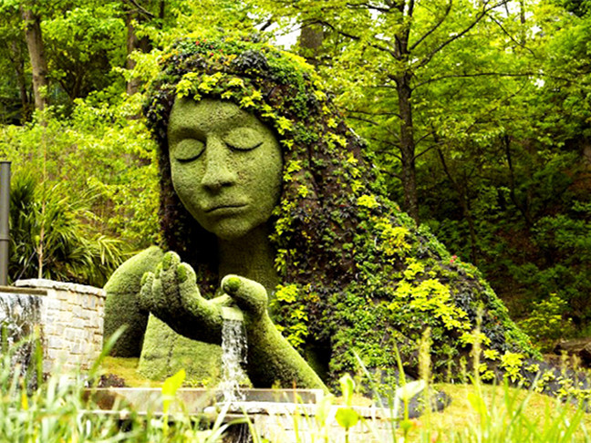 植物雕塑模型su资料下载-植物园里的绿色雕塑