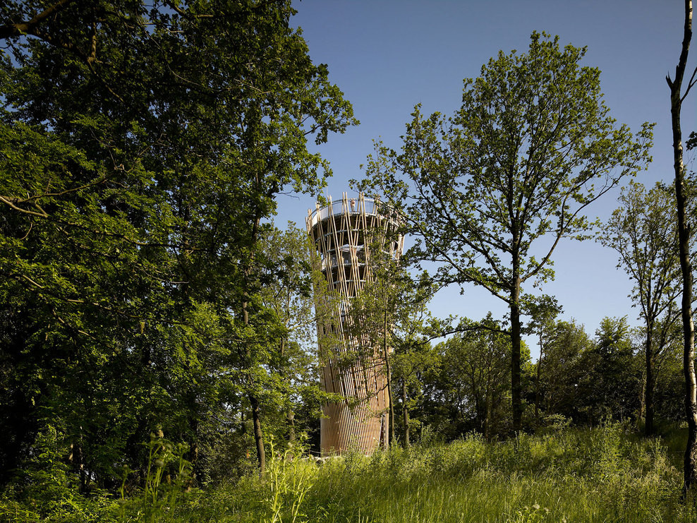 principle tower图片