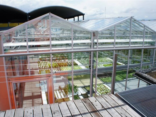 这样的屋顶花园资料下载-瑞士城市屋顶花园