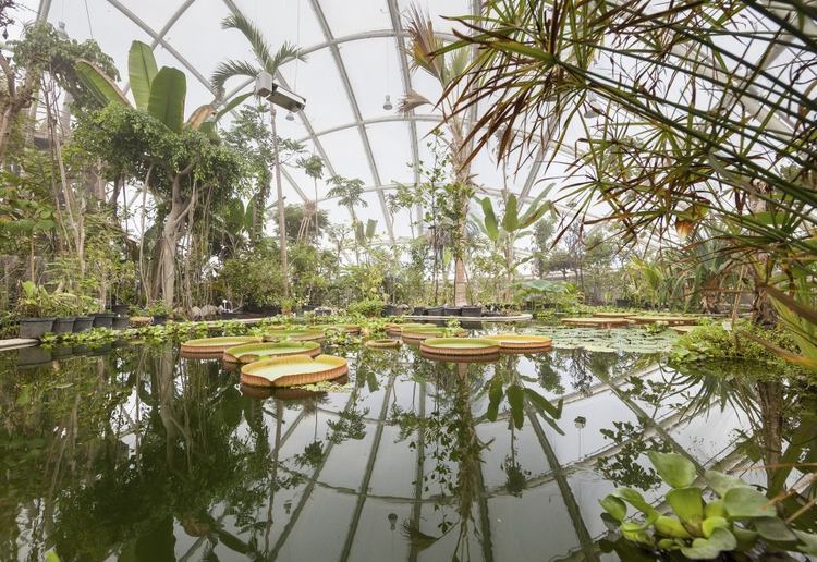 丹麦奥胡斯植物园新温室房内部植-丹麦奥胡斯植物园新温室房第10张图片