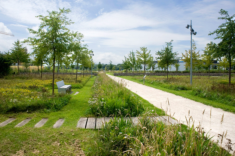 法國蒙泰夫蘭公園項目兩邊綠化帶實景圖