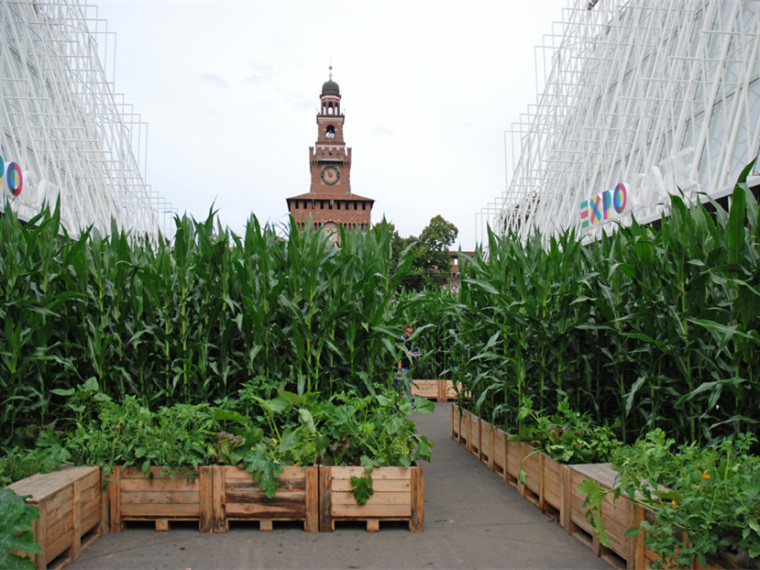 游客中心景观大门模型资料下载-米兰市中心的玉米地景观