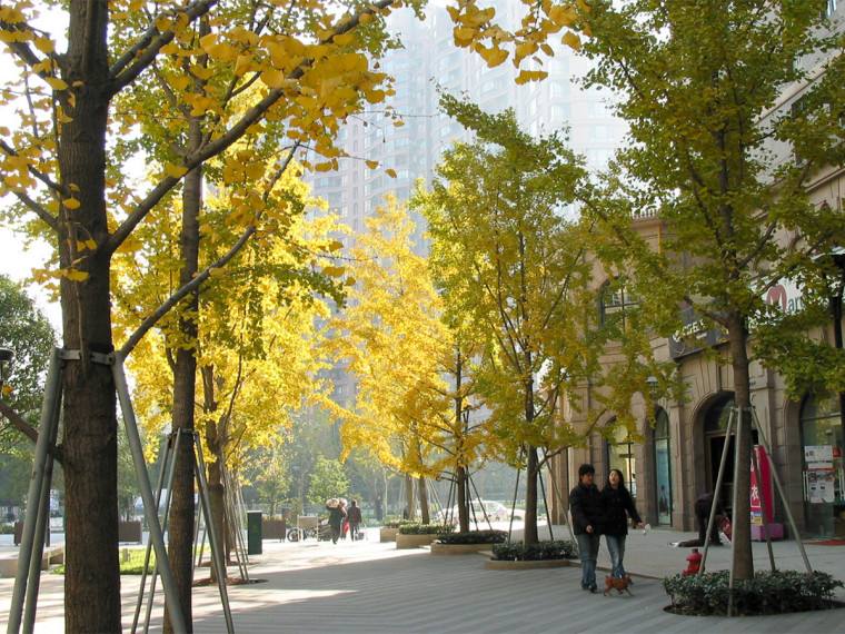 古北步行街资料下载-上海古北黄金街景观