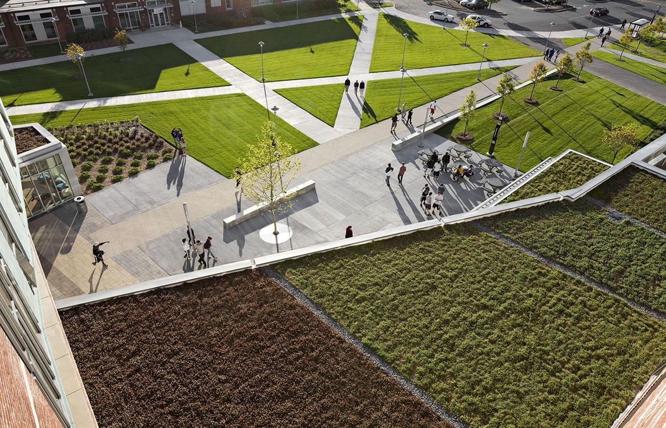 the landscape architect worked closely with the client &