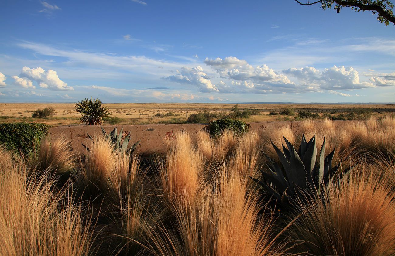 美国德克萨斯西部大牧场景观