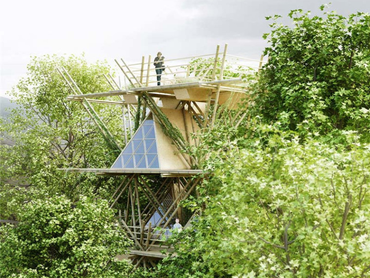 生态灵活的竹制观鸟亭