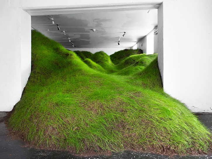 草地景观CAD资料下载-挪威画廊内的草地景观