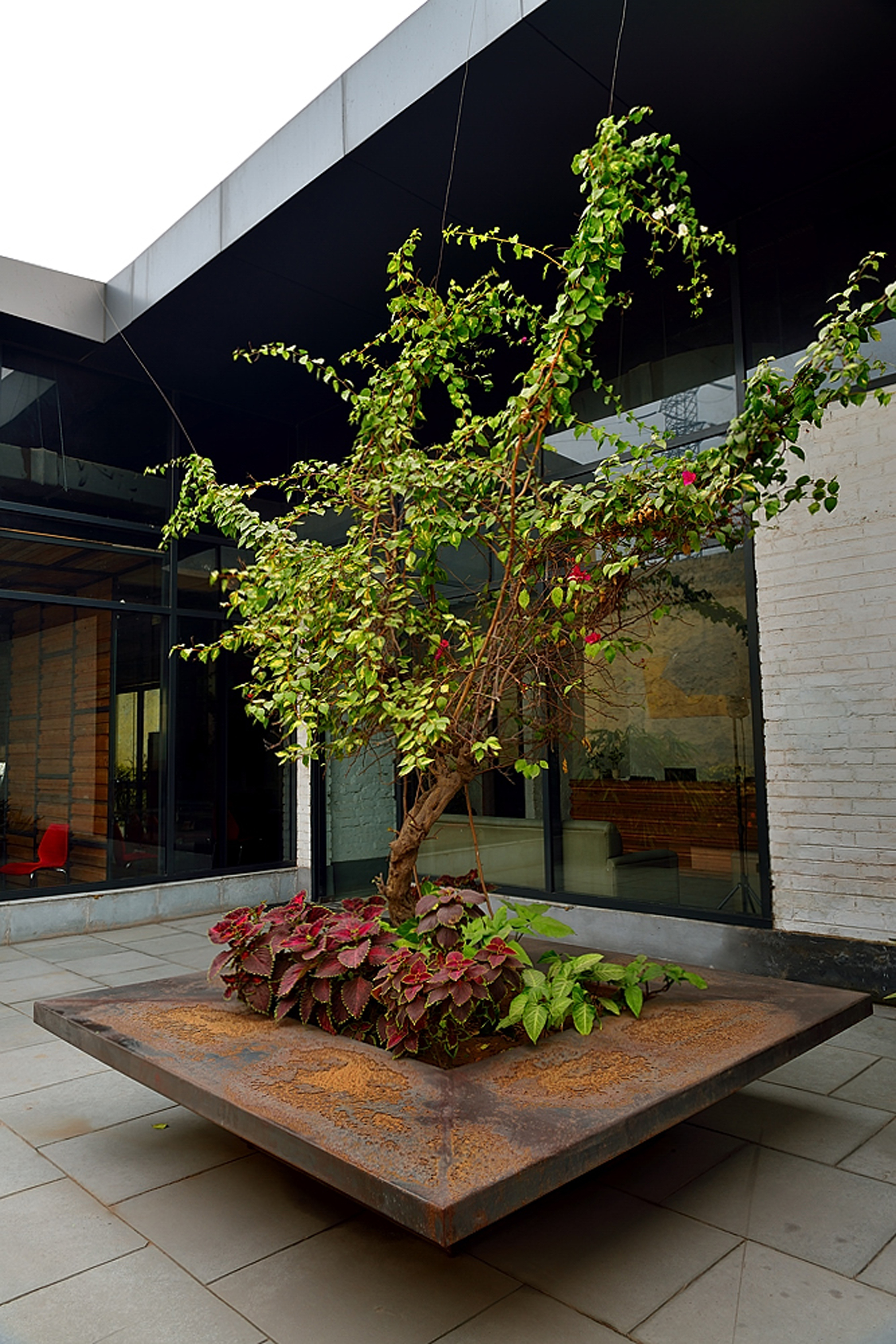 印度新德里dca公司办公室外部庭院-印度新德里dca公司办公室第2张图片