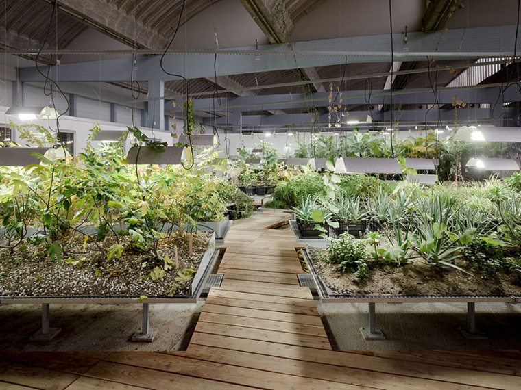 景观绿化植物搭配资料下载-德国犹太侨民植物园