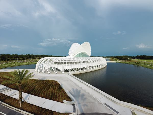 佛罗里达家庭泳池景观资料下载-佛罗里达科技大学