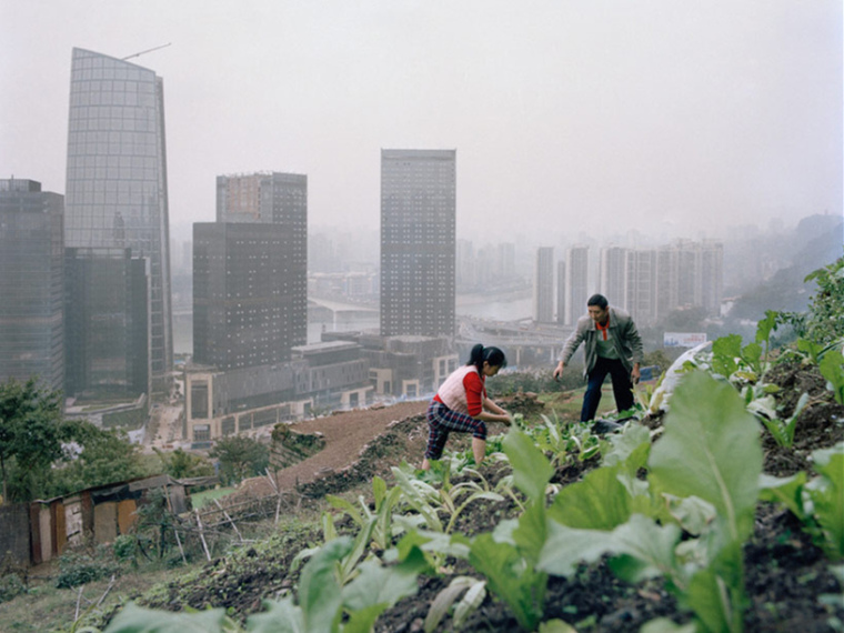 农业种植基地资料下载-中国新城市农场